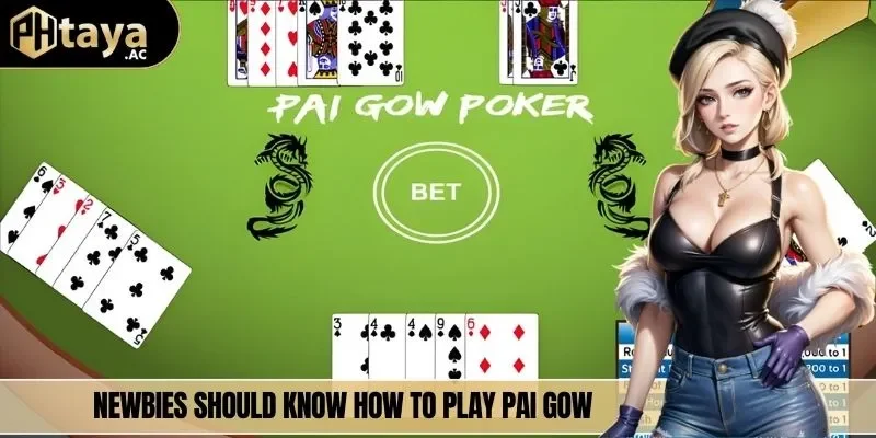 Newbies should know how to play Pai Gow